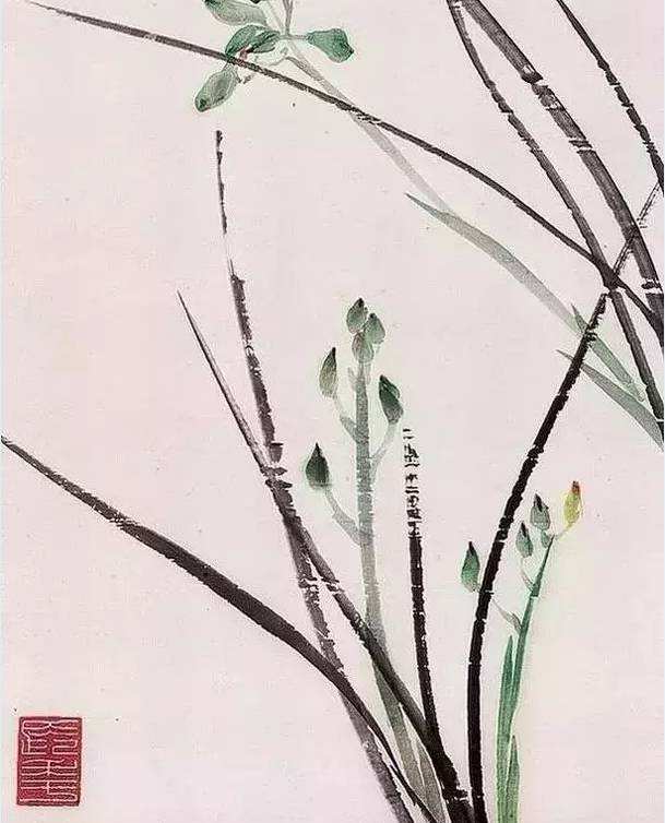 达人分享！定格的意思“空谷幽兰”