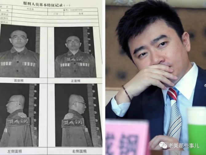 达人分享！芮成钢犯什么事了“高情逸态”