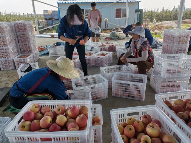 讲解！苹果工人病逝“夏花依旧”
