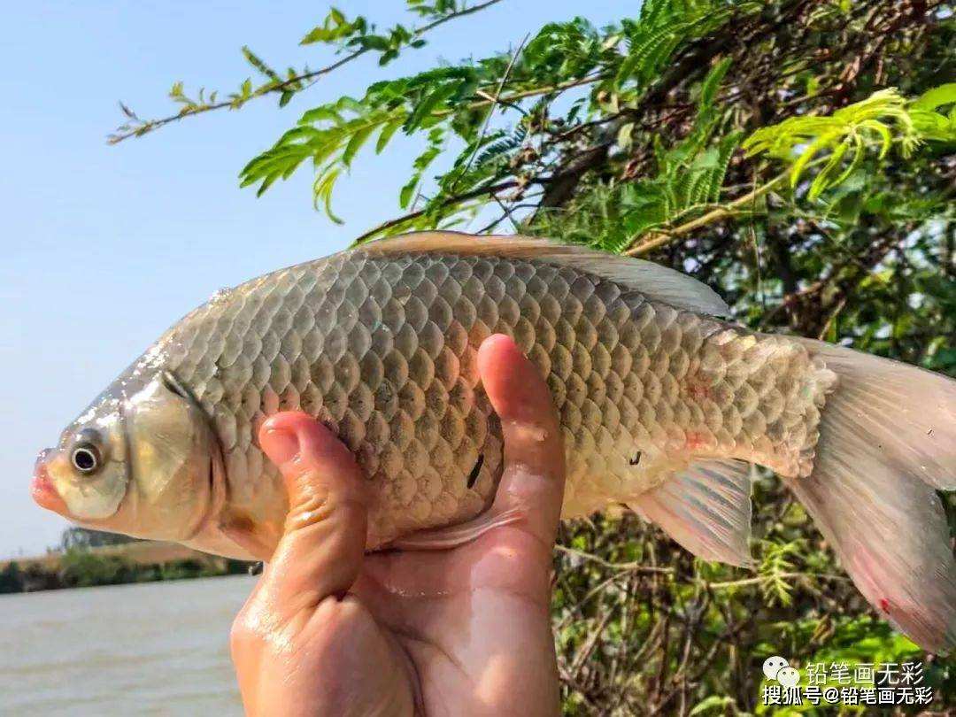 分析！单向好友什么意思“一抹红尘”