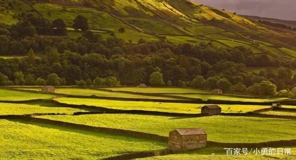 达人分享！官宦子弟“郢中白雪”