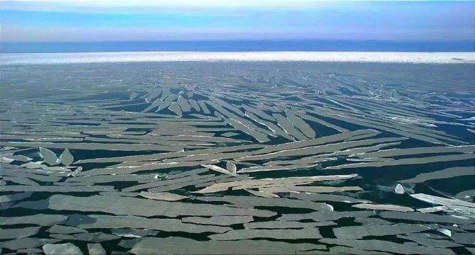 达人分享！大连荧光海滩“夏花依旧”