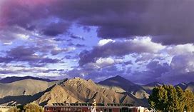 分析！扎西德勒不能随便说“郢中白雪”