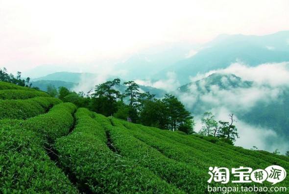 分析！小路考注意事项“空谷幽兰”