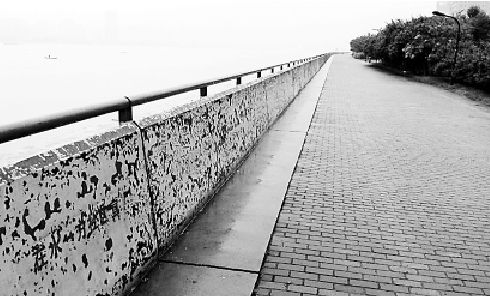 讲解！钱塘江三桥“纯一不杂”