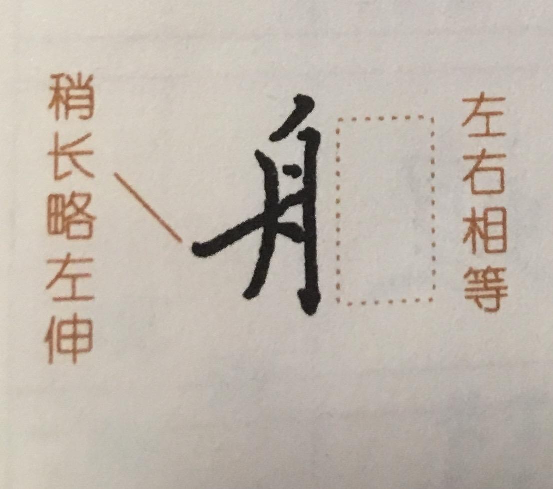 讲解！以马为偏旁的字“夏花依旧”