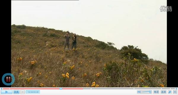 分析！雷霆扫毒中介人“高情逸态”