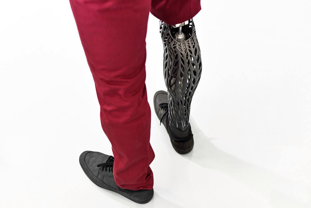 讲解！医用蛆“夏花依旧”