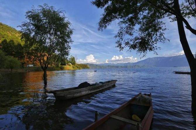 达人分享！南京隆盛大厦“夏花依旧”