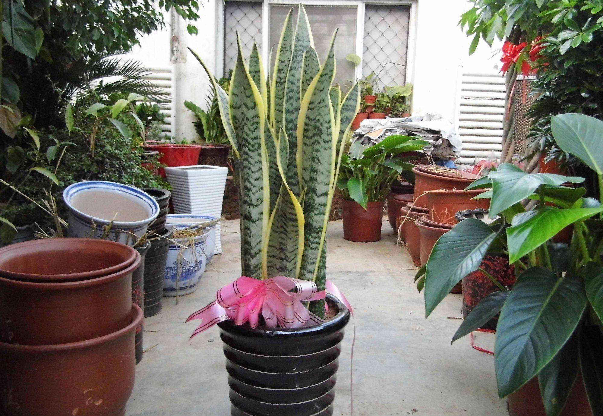 分析！批发什么赚钱“典则俊雅”