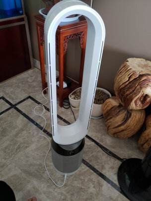 达人分享！dyson净化器“纯一不杂”