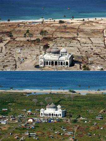 讲解！一米海岸“高情逸态”