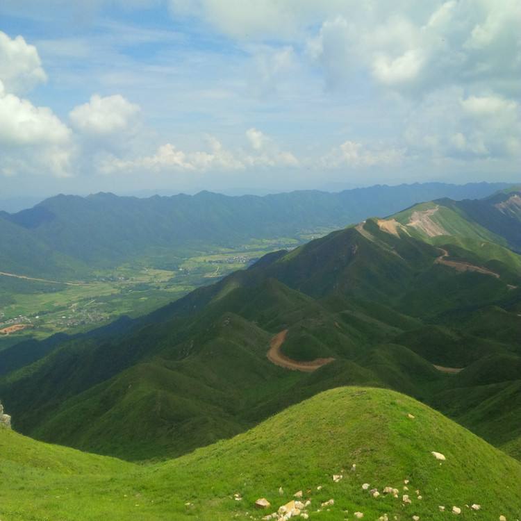 分析！fool什么意思“空谷幽兰”