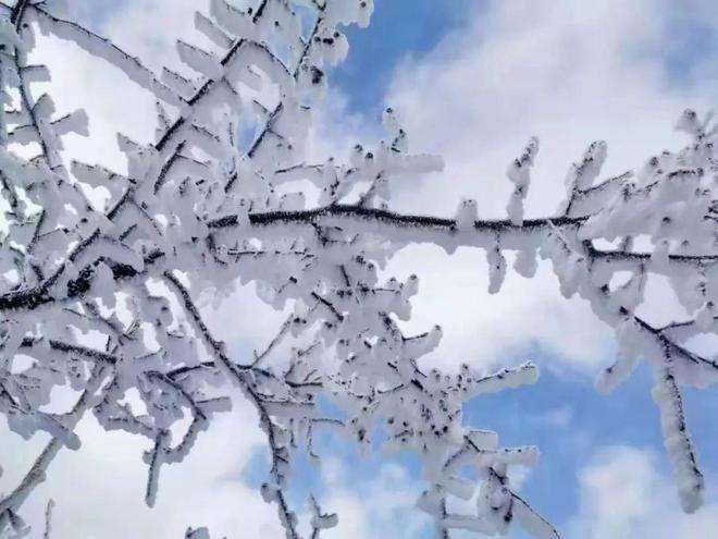 达人分享！公分换算厘米“郢中白雪”