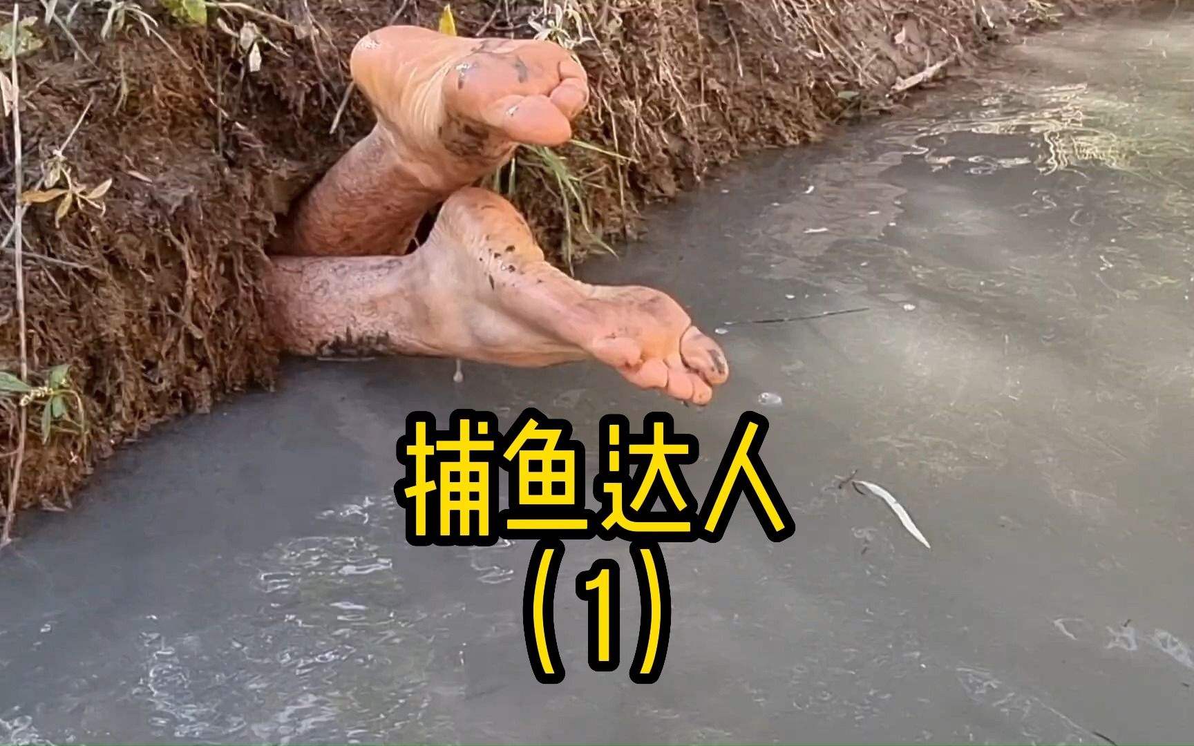 达人分享！让人不忍卒读“雁过留声”