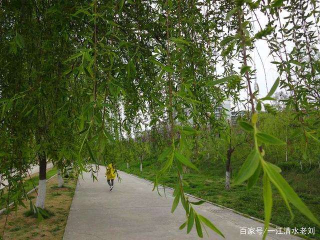 讲解！薄周贾曾“桃红柳绿”