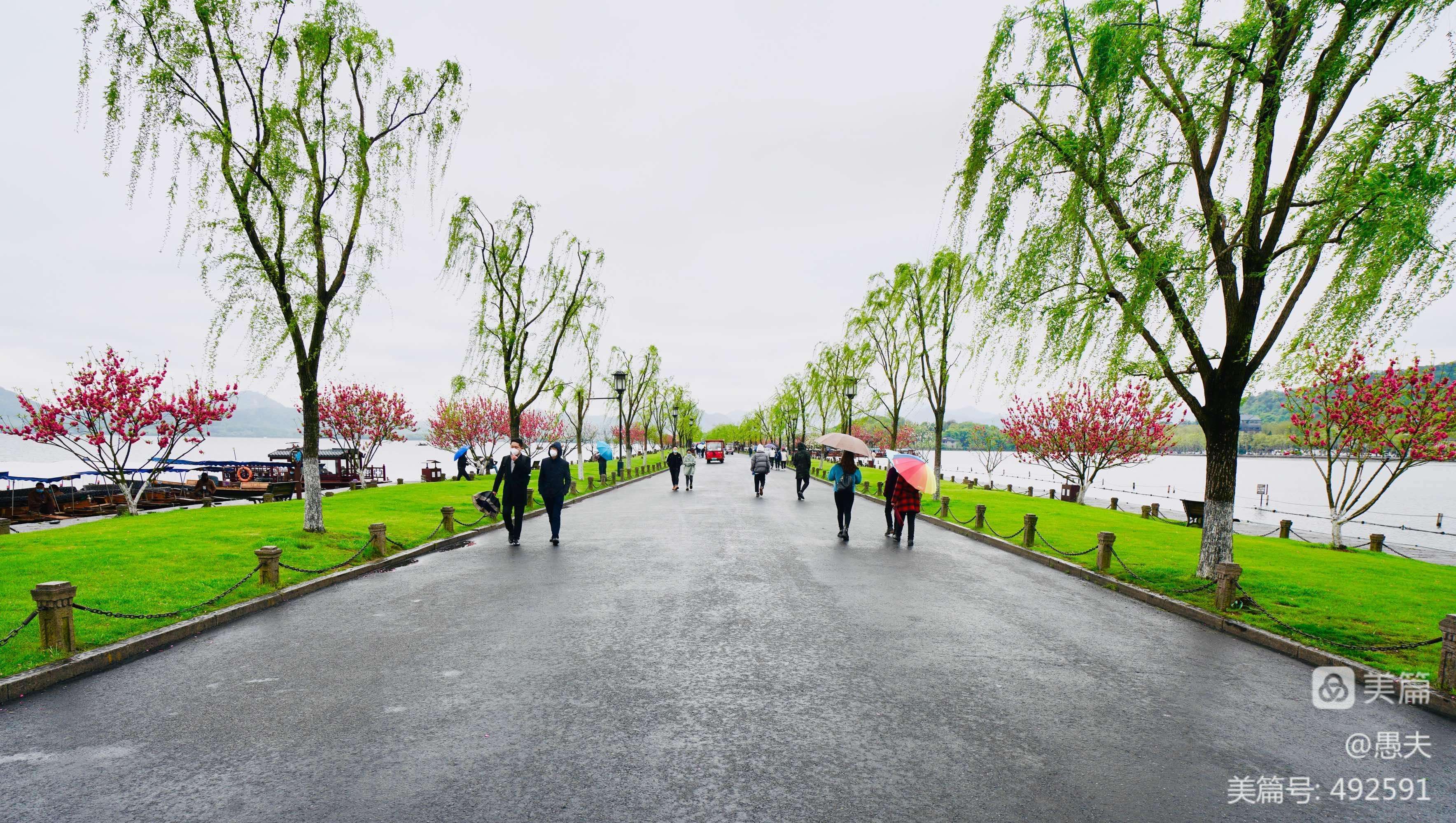 分析！安琪流泪的眼“桃红柳绿”