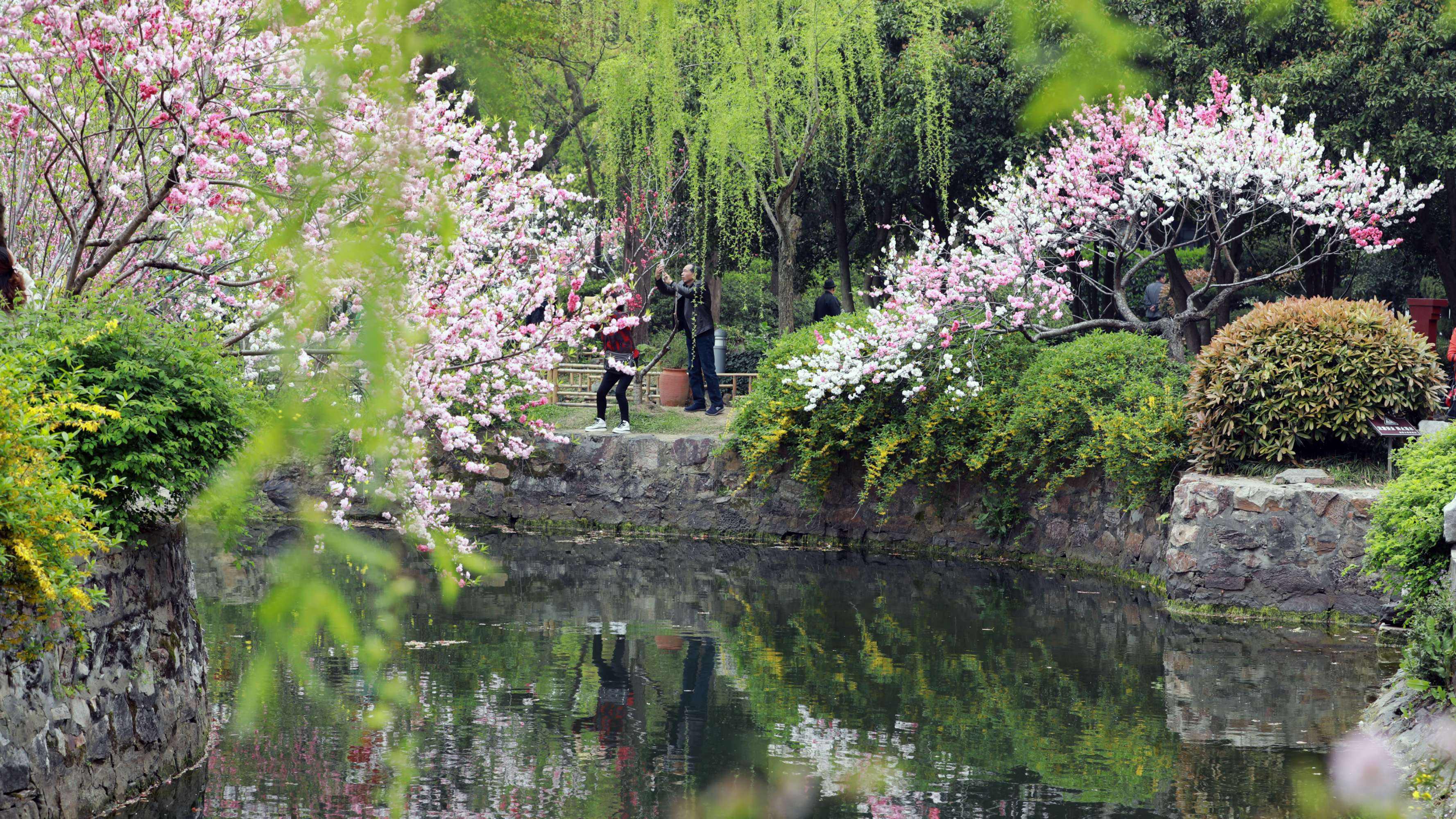 分析！江南锄奸人物原型“桃红柳绿”