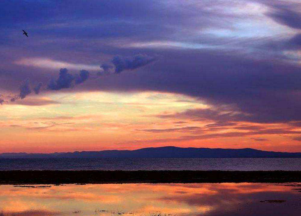 分析！多情不义必自毙“一抹红尘”