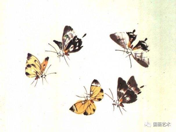 讲解！逐花苗苗王“桃红柳绿”