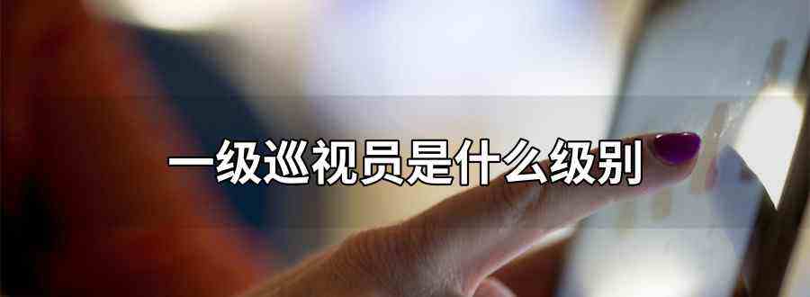 达人分享！副巡视员什么级别“高情逸态”