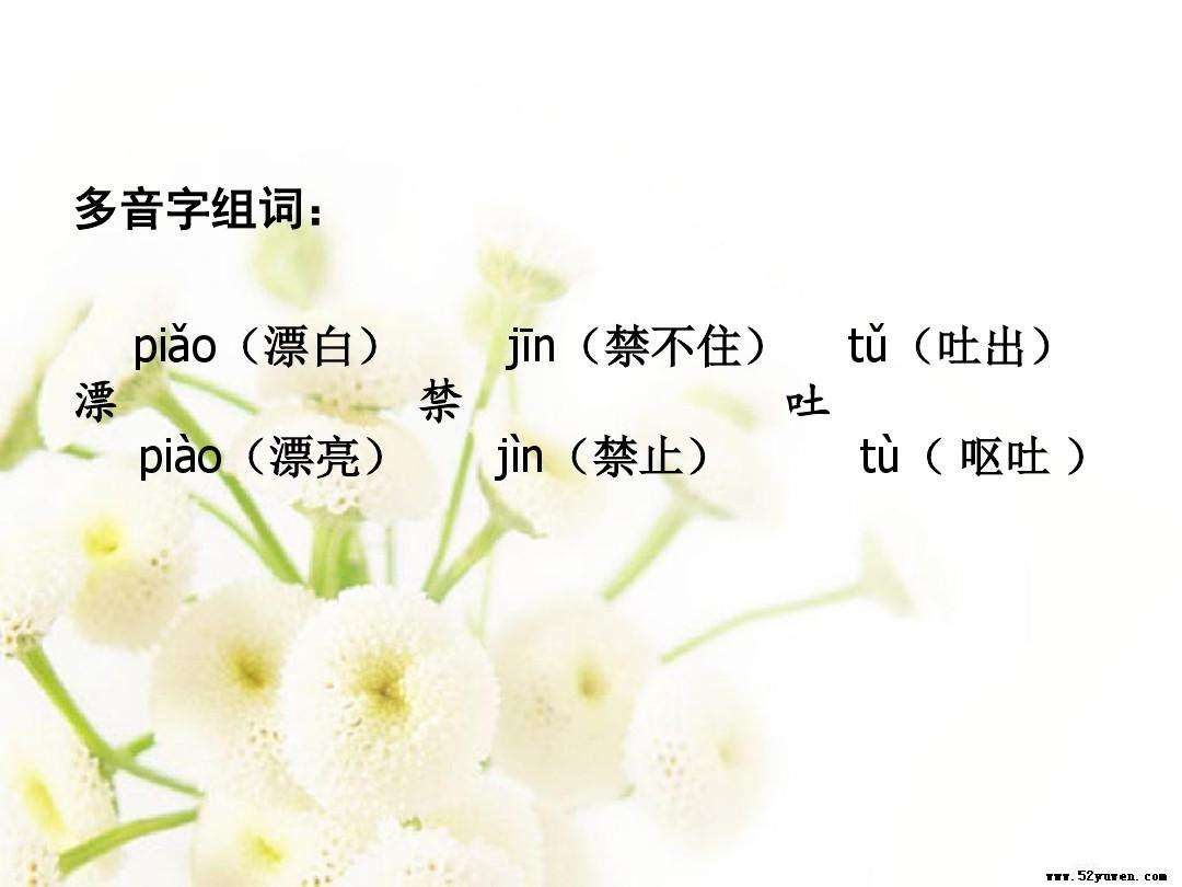 分析！漂亮的漂组词“一抹红尘”