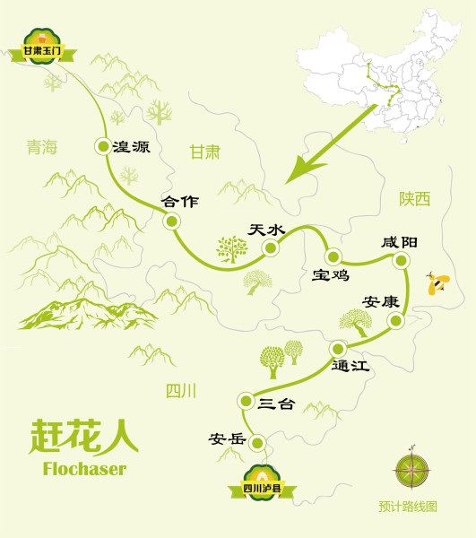 达人分享！逐花苗苗王“冰清水冷”