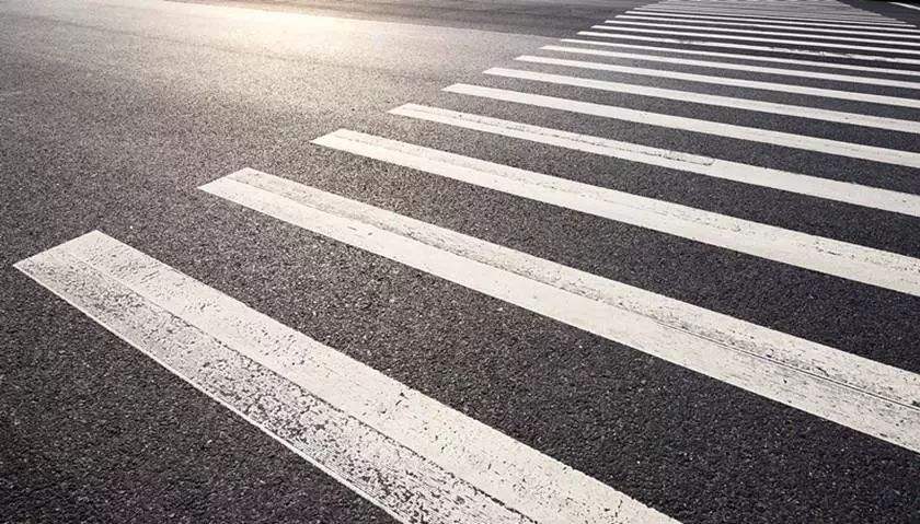 达人分享！斑马和斑马线有关系吗“雁过留声”