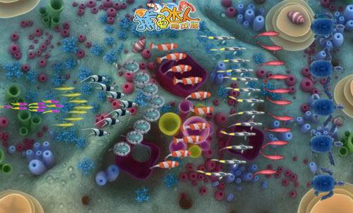 达人分享！文昌鱼是鱼吗“纯一不杂”