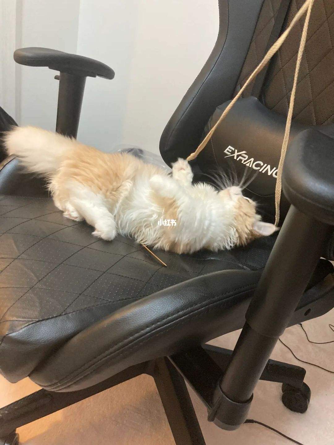 达人分享！派不上用场