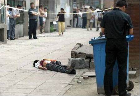 分析！东北人打架厉害吗“夏花依旧”