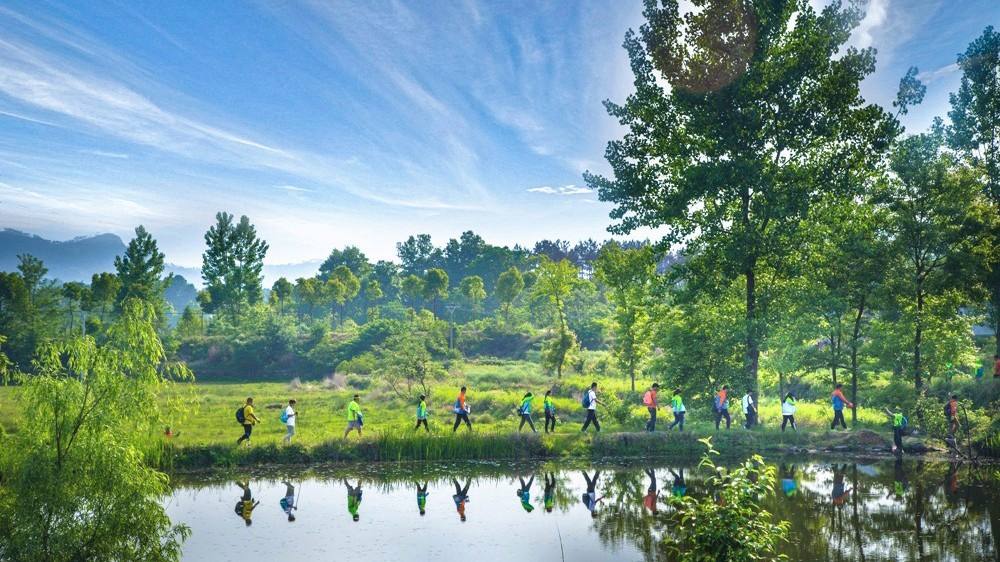 达人分享！武汉拥堵情况“空谷幽兰”