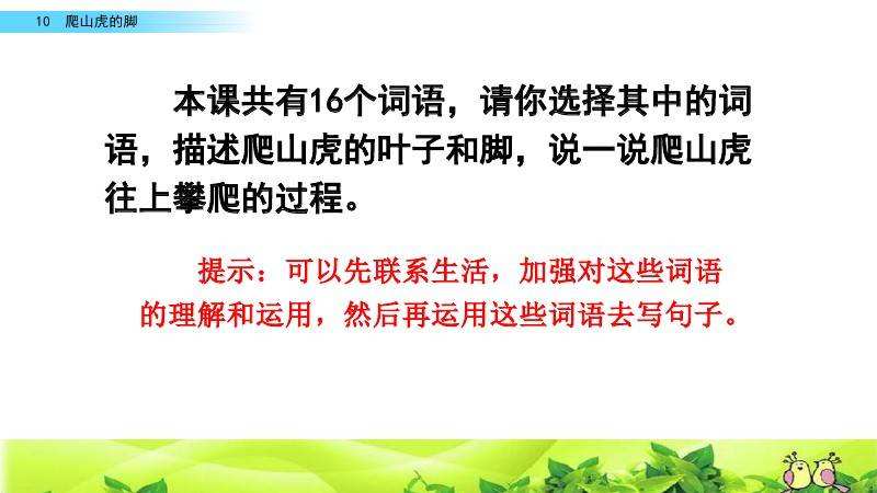 讲解！爬山虎吃肉吗“雁过留声”