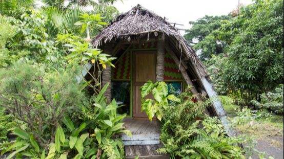 达人分享！挖出大蛇“空谷幽兰”