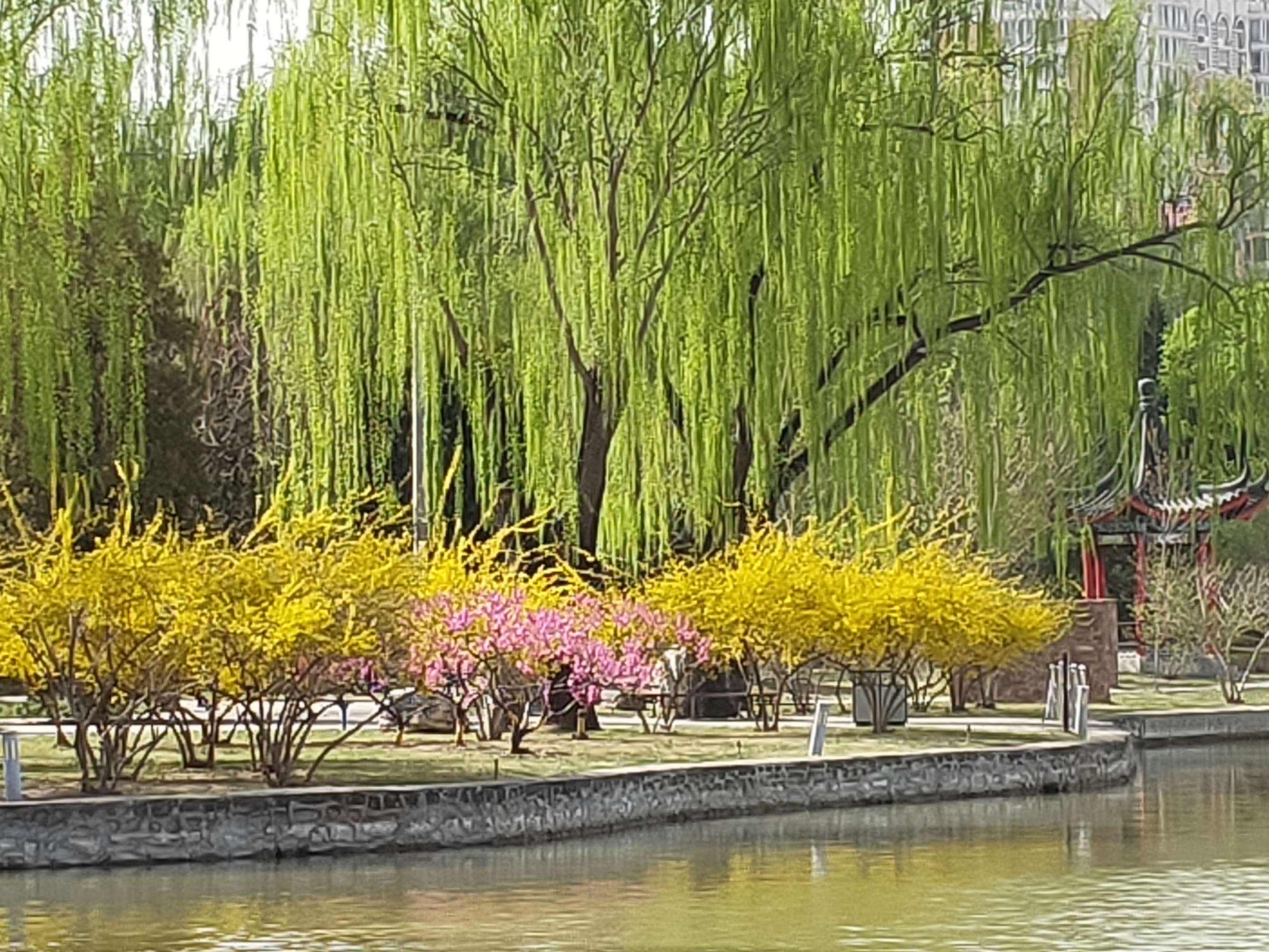 分析！高中生小后妈“桃红柳绿”