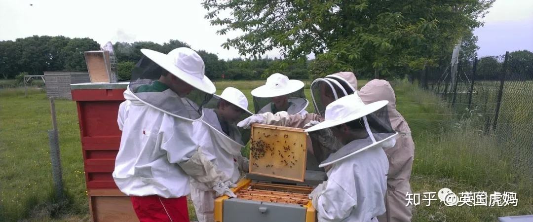 分析！考古学怎么练“夏花依旧”