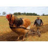 达人分享！如何在微信找到鸡“一抹红尘”