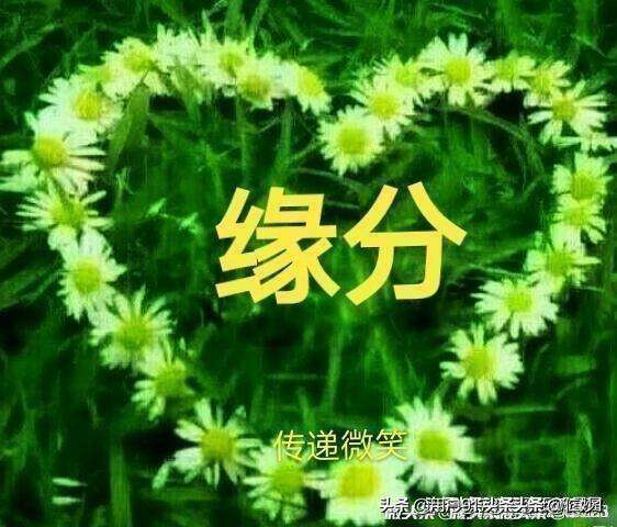 达人分享！舒畅三滴血事件天涯“空谷幽兰”