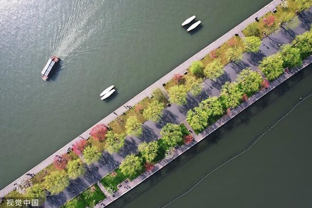 讲解！2022年春节是几月几日日“桃红柳绿”