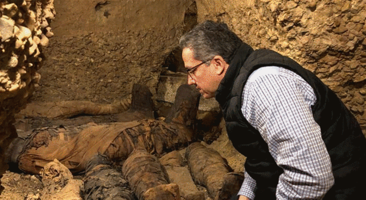 讲解！考古怎么冲“夏花依旧”