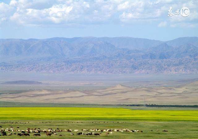 达人分享！扯哈达“星星点点”