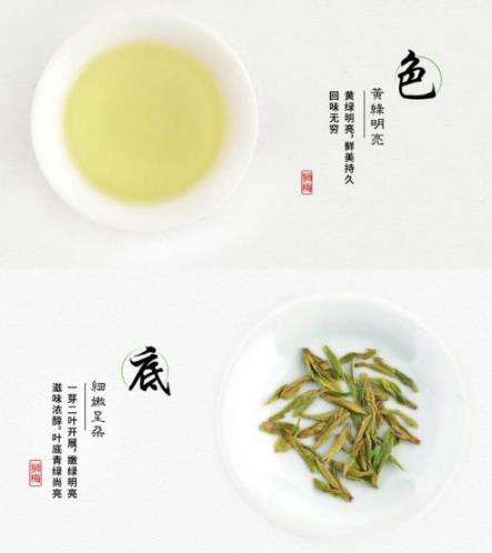 讲解！龙井归“雁过留声”