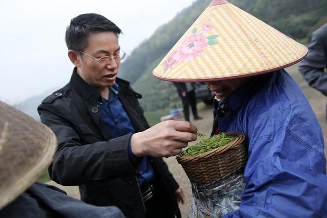 讲解！龙井归“雁过留声”