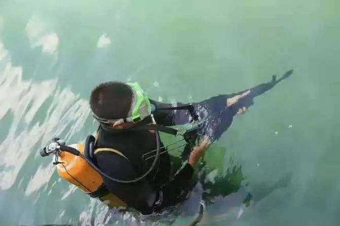 讲解！特种兵征婚“高情逸态”