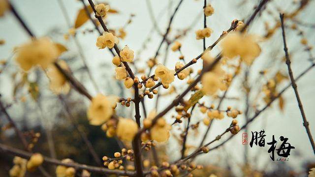 分析！煮海歌中主要涉及什么人“一抹红尘”