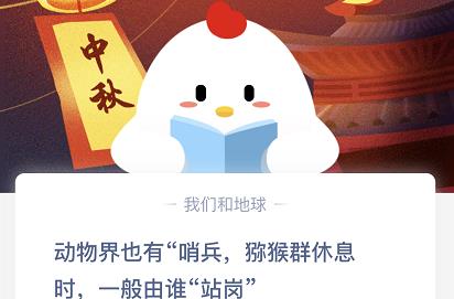 讲解！8月15日蚂蚁庄园答案“纯一不杂”