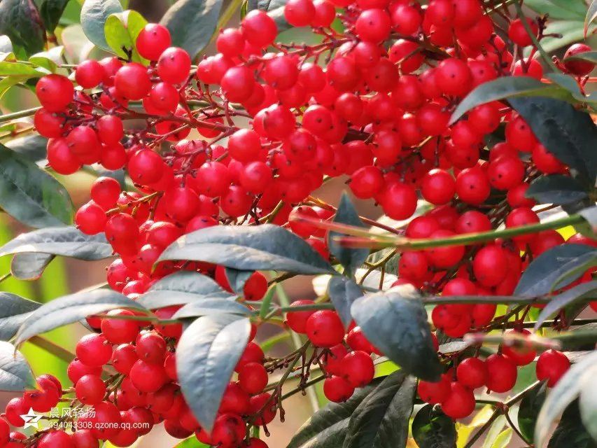 达人分享！2020年2月4号几点打春“空谷幽兰”