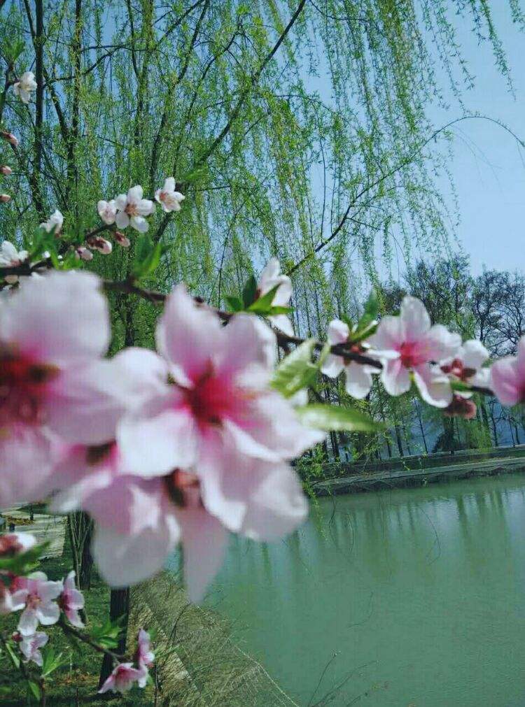 讲解！一吨水是多少立方米“桃红柳绿”