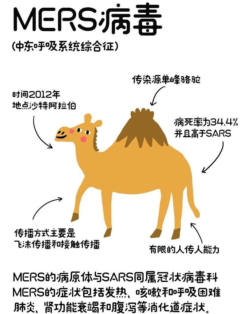 分析！霍乱又称几号病“高情逸态”