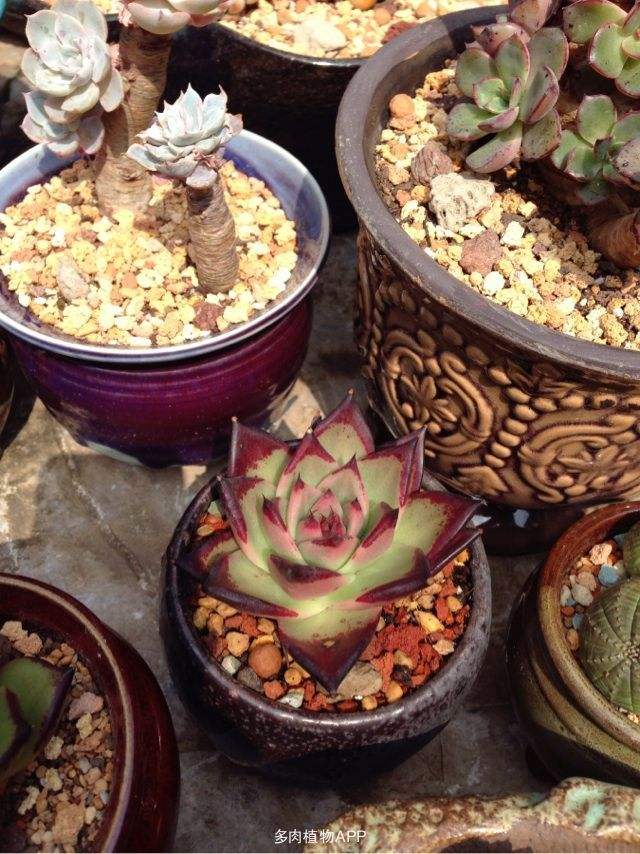 分析！为什么我的电脑老掉线“纯一不杂”